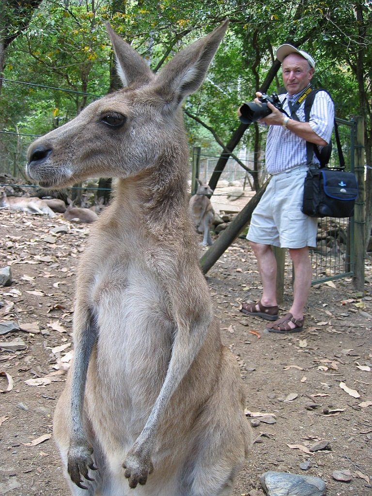 043 Cairns Tropical Zoo.jpg